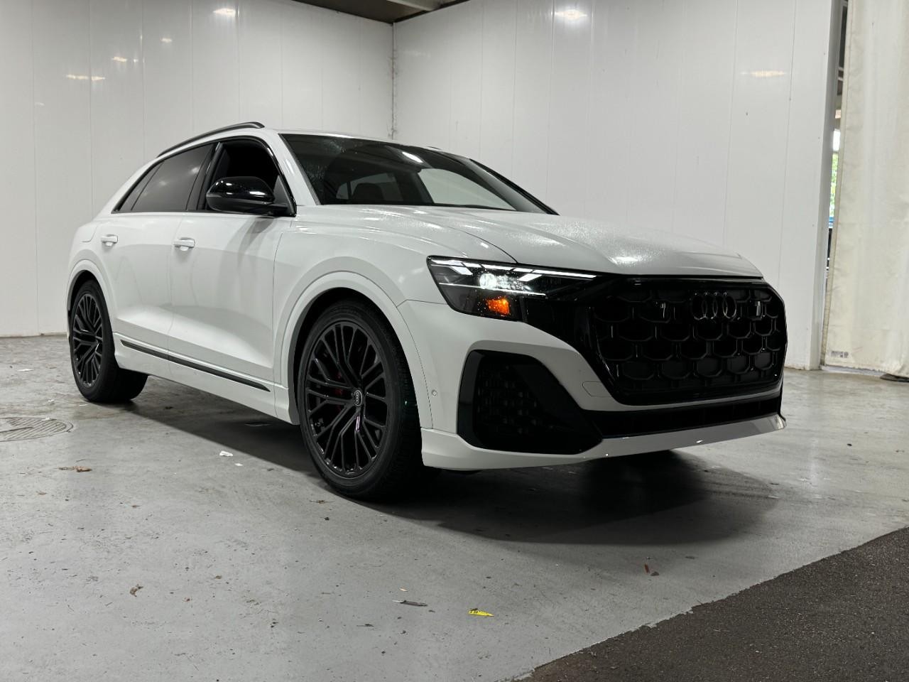 Audi SQ8 Vehicle Full-screen Gallery Image 6