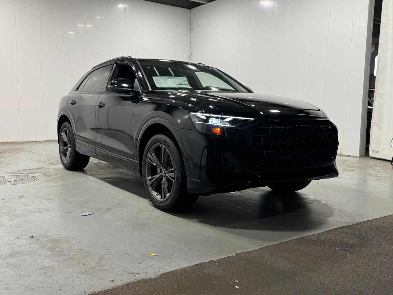 Audi Q8 Vehicle Full-screen Gallery Image 6