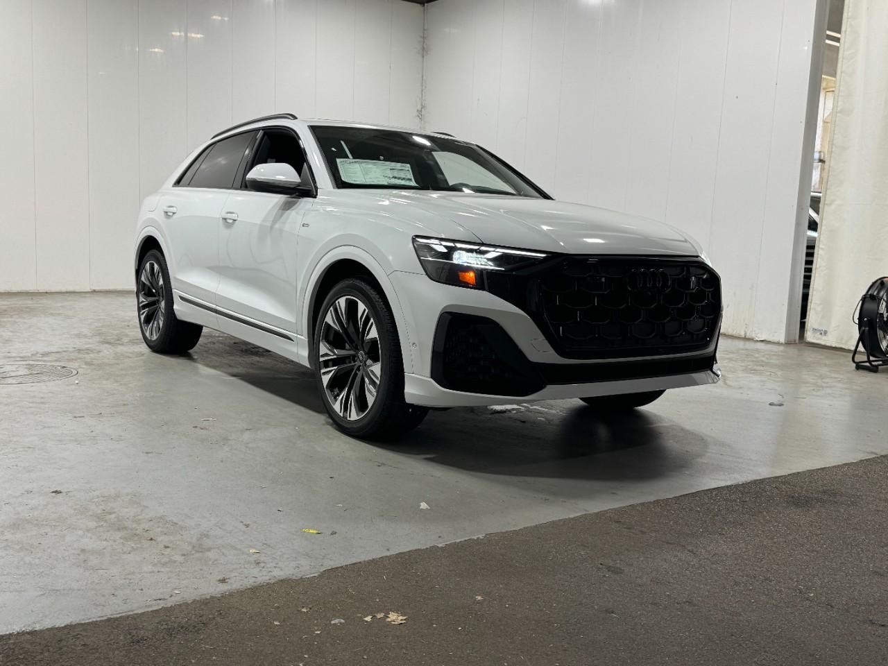 Audi Q8 Vehicle Full-screen Gallery Image 6