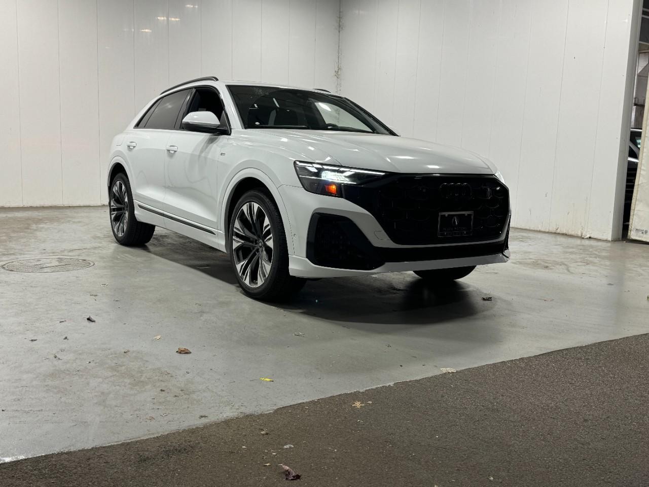 Audi Q8 Vehicle Full-screen Gallery Image 6