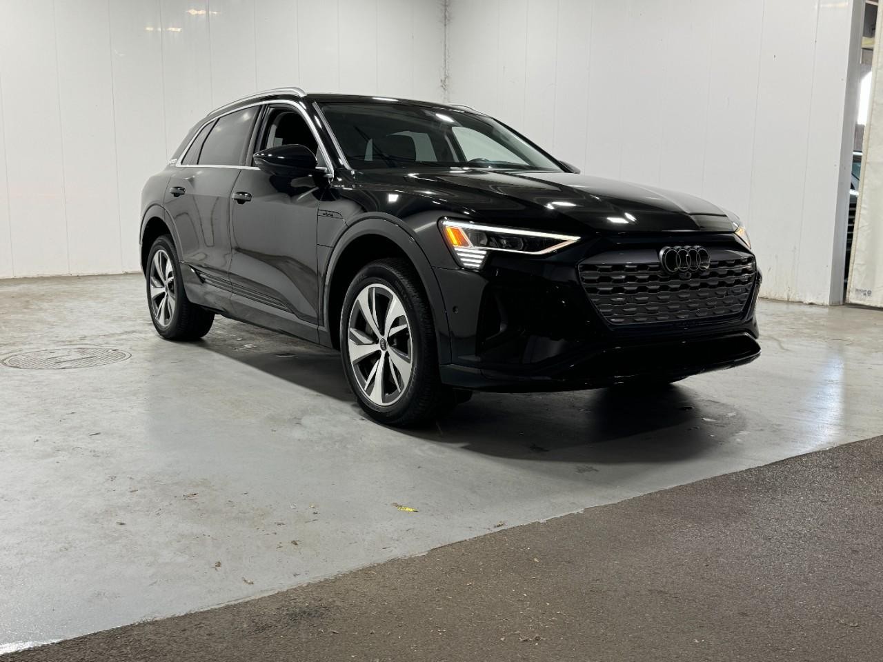 Audi Q8 e-tron Vehicle Full-screen Gallery Image 6