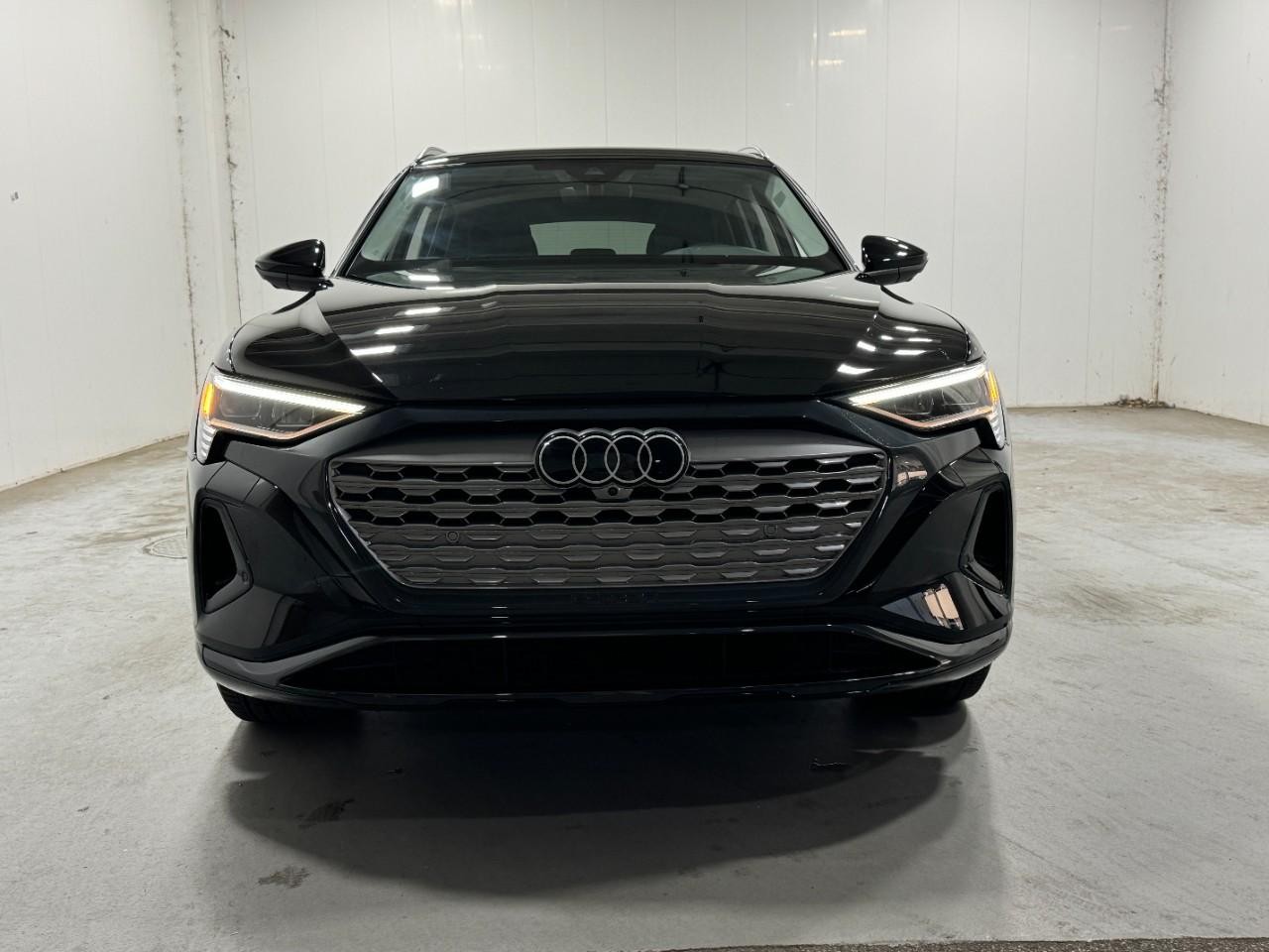 Audi Q8 e-tron Vehicle Full-screen Gallery Image 7