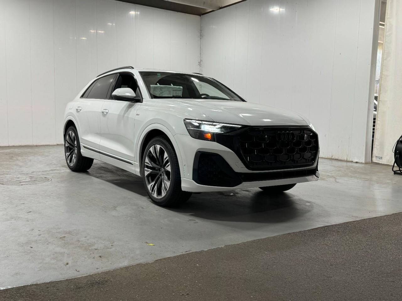Audi Q8 Vehicle Full-screen Gallery Image 6