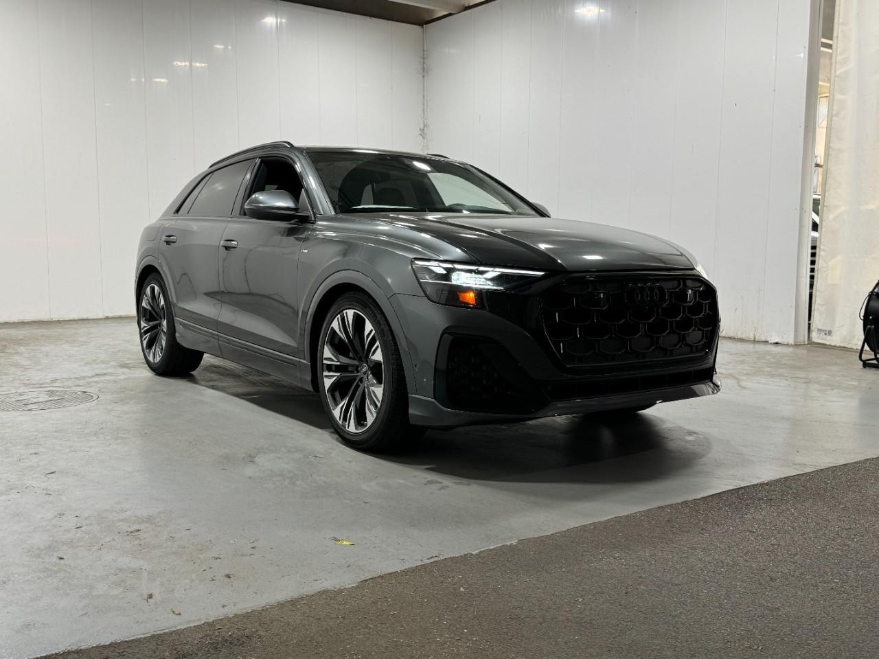 Audi Q8 Vehicle Full-screen Gallery Image 6