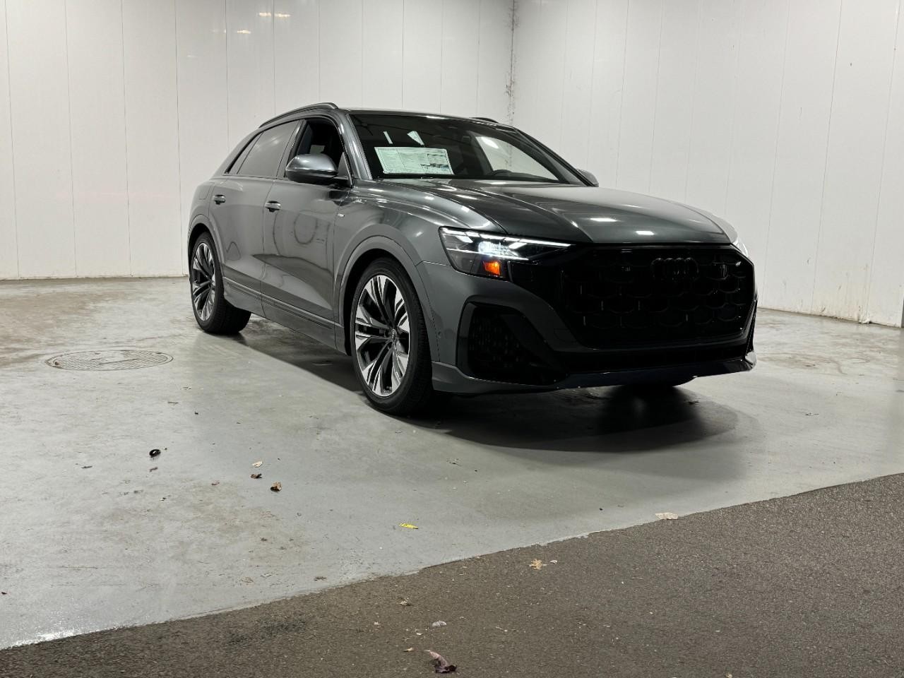 Audi Q8 Vehicle Full-screen Gallery Image 6