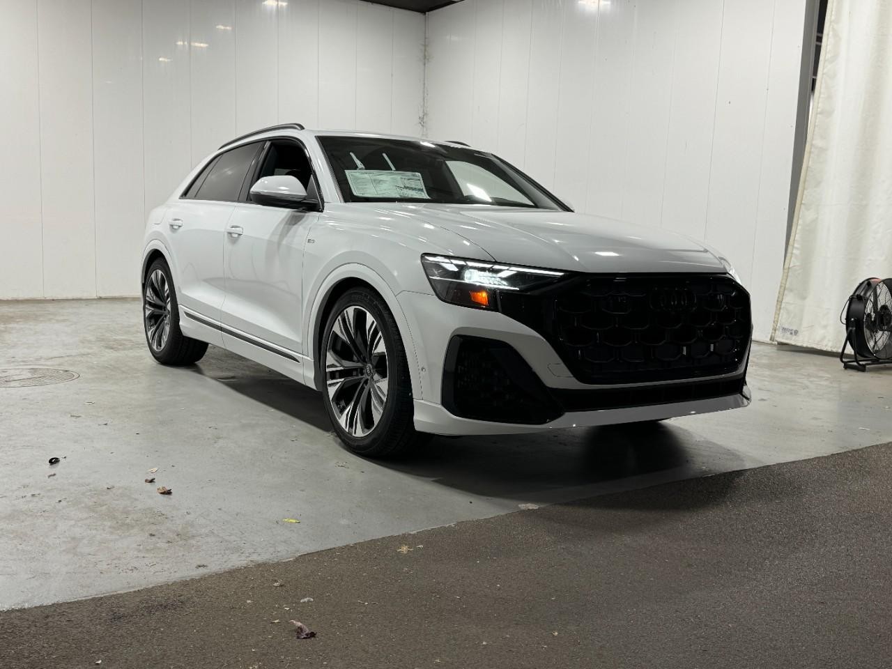 Audi Q8 Vehicle Full-screen Gallery Image 6