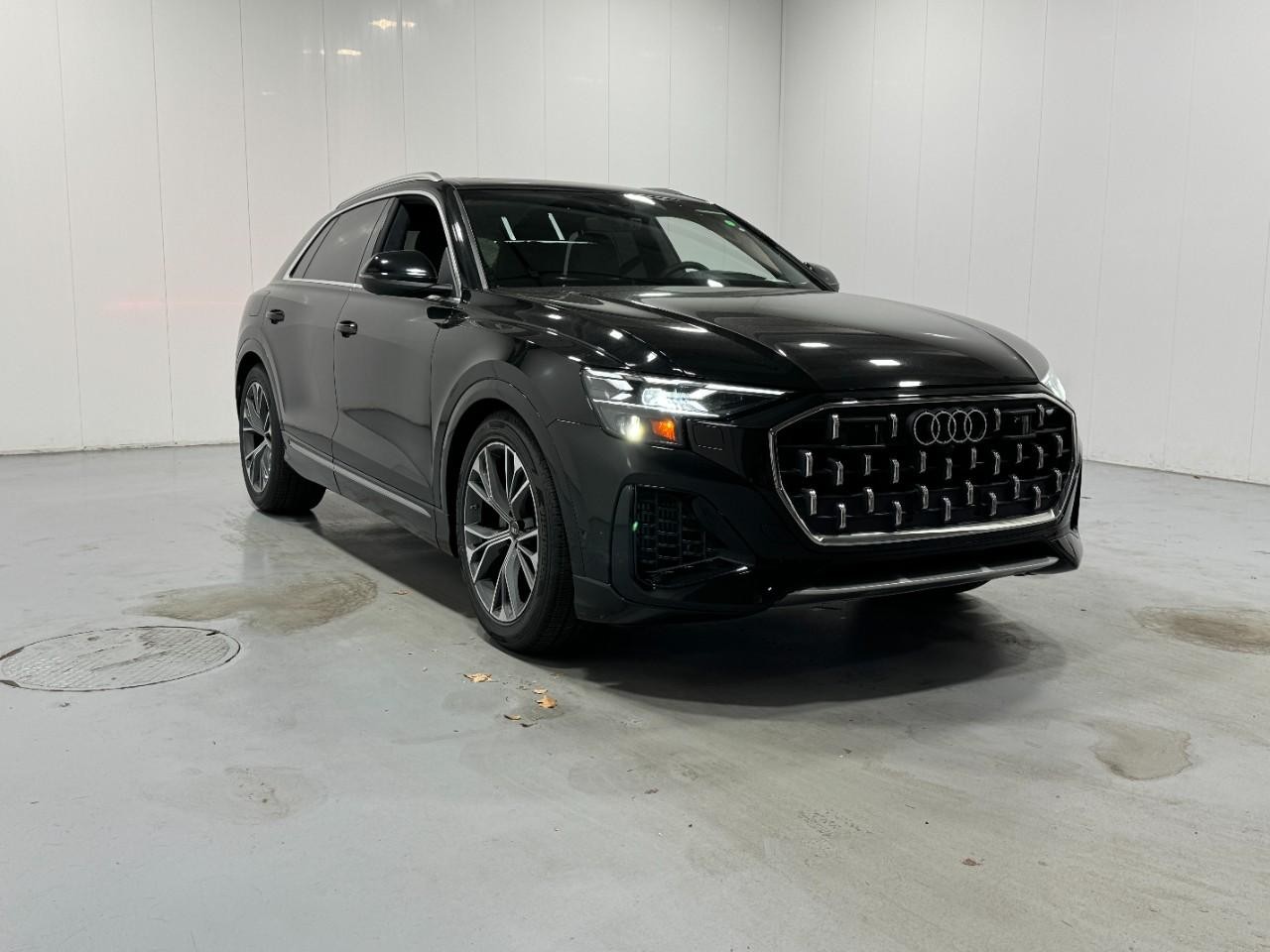 Audi Q8 Vehicle Full-screen Gallery Image 6