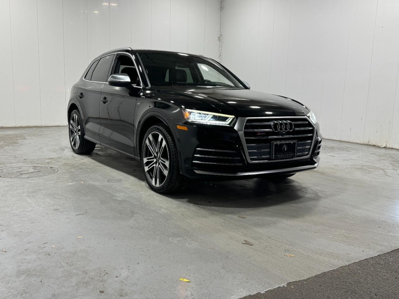 Audi SQ5 Vehicle Full-screen Gallery Image 6