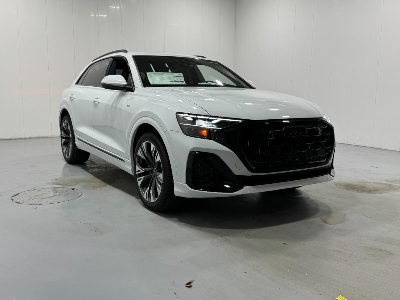 Audi Q8 Vehicle Full-screen Gallery Image 6