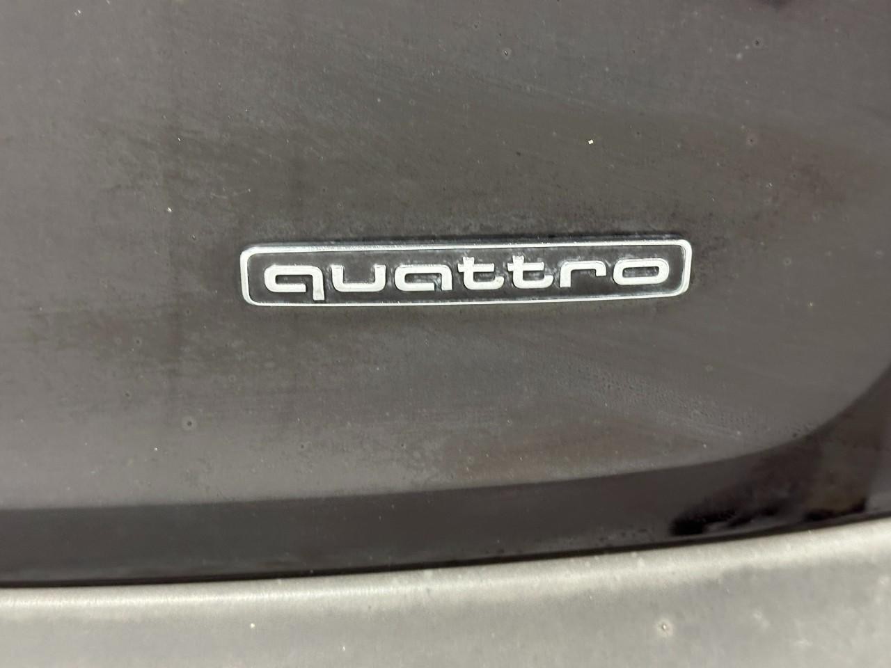 Audi Q5 Vehicle Full-screen Gallery Image 06