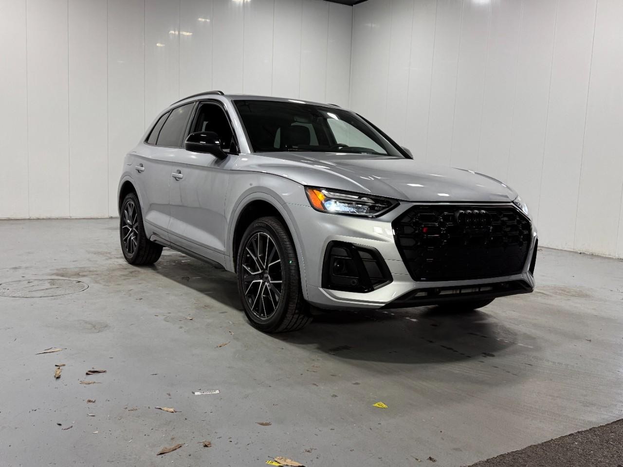 Audi SQ5 Vehicle Full-screen Gallery Image 6