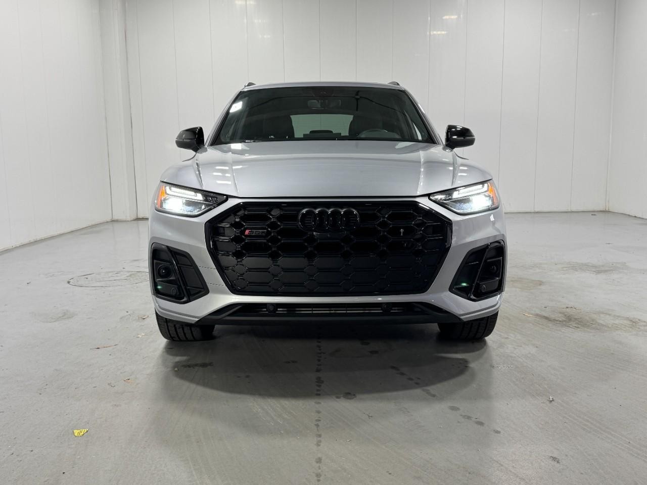 Audi SQ5 Vehicle Full-screen Gallery Image 7