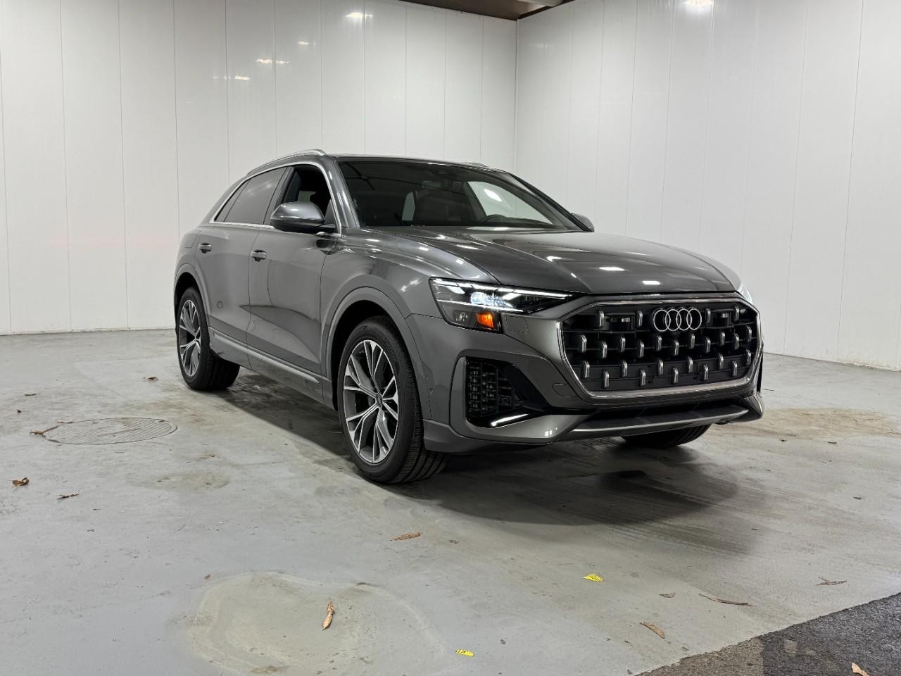 Audi Q8 Vehicle Full-screen Gallery Image 6
