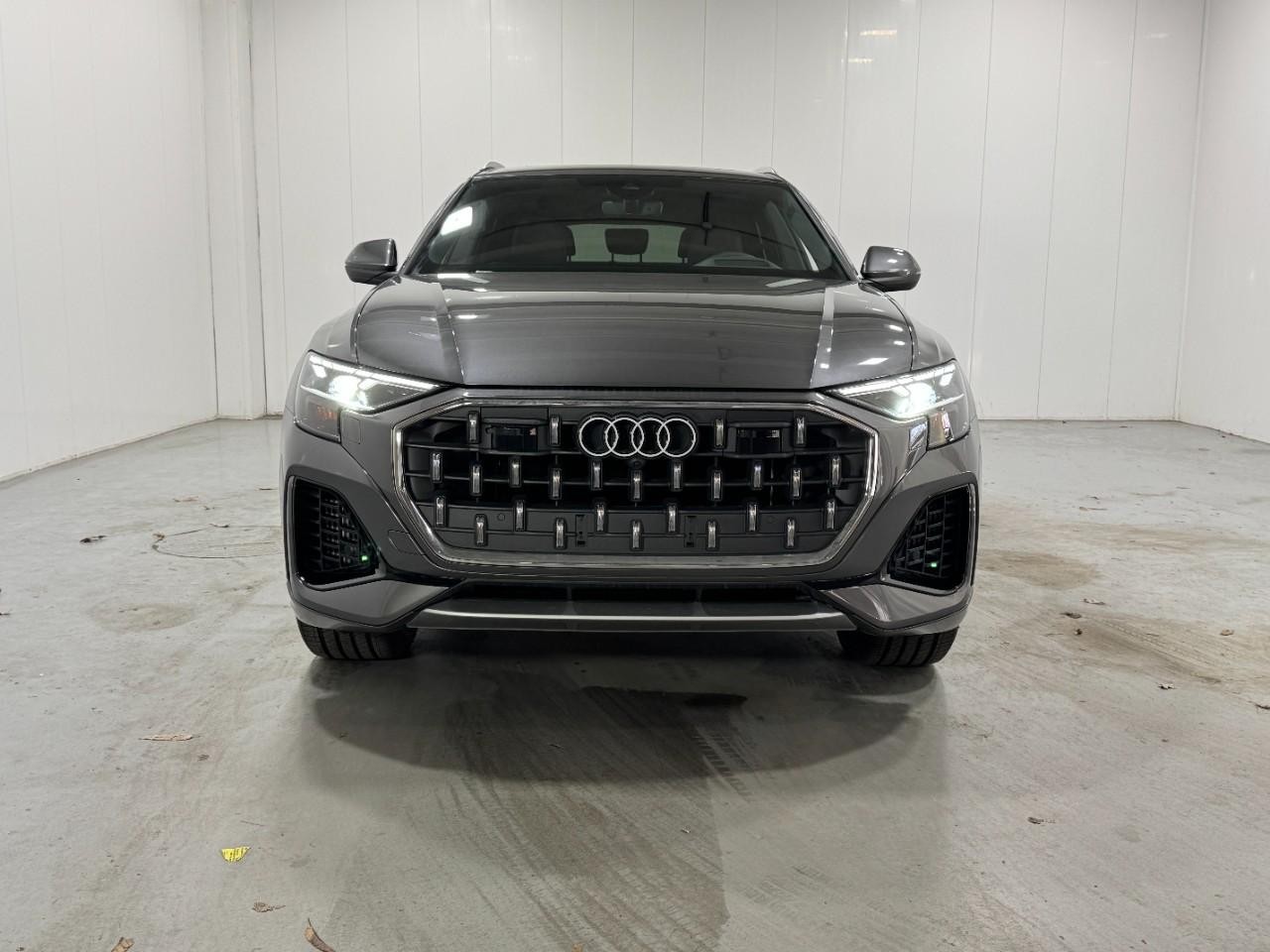 Audi Q8 Vehicle Full-screen Gallery Image 7