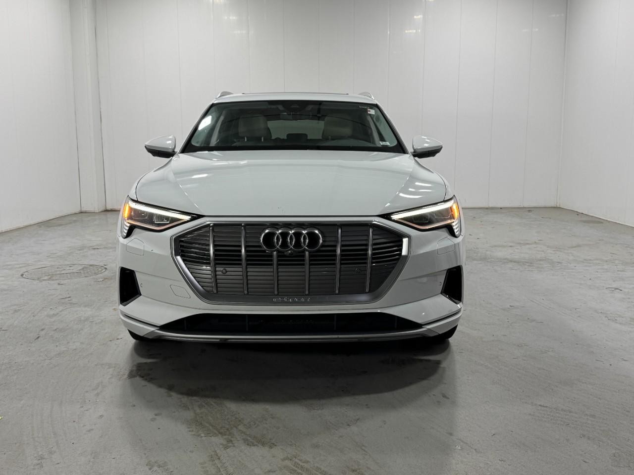 Audi e-tron Vehicle Full-screen Gallery Image 7