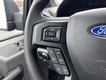 2019 Ford F-150 4WD Reg Cab Box thumbnail image 11