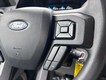 2019 Ford F-150 4WD Reg Cab Box thumbnail image 12