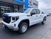 2025 GMC Sierra 1500 Pro thumbnail image 02