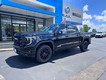 2025 GMC Sierra 1500 Elevation thumbnail image 02