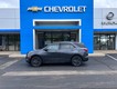 2022 Chevrolet Equinox RS thumbnail image 01