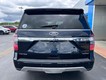 2021 Ford Expedition Max Limited thumbnail image 06