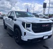 2025 GMC Sierra 1500 Pro thumbnail image 04