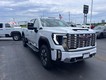 2025 GMC Sierra 2500HD Denali thumbnail image 04