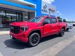 2025 GMC Sierra 1500 Pro thumbnail image 02