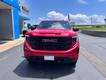 2025 GMC Sierra 1500 Pro thumbnail image 03