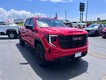 2025 GMC Sierra 1500 Pro thumbnail image 04