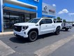 2025 GMC Sierra 1500 Elevation thumbnail image 02