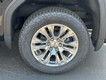 2025 GMC Sierra 1500 Denali thumbnail image 04