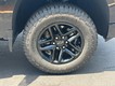 2022 Chevrolet Silverado 1500 4WD Custom Trail Boss Crew Cab thumbnail image 07