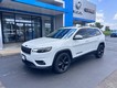 2019 Jeep Cherokee 2WD Altitude thumbnail image 02