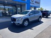 2024 GMC Terrain SLE thumbnail image 02