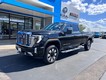 2024 GMC Sierra 3500HD 4WD Crew Cab Denali thumbnail image 02