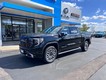 2026 GMC Sierra 1500 Denali Ultimate thumbnail image 02