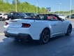 2024 Ford Mustang EcoBoost Premium thumbnail image 08