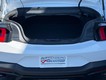 2024 Ford Mustang EcoBoost Premium thumbnail image 09