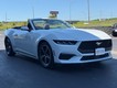 2024 Ford Mustang EcoBoost Premium thumbnail image 11