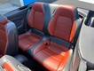 2024 Ford Mustang EcoBoost Premium thumbnail image 13