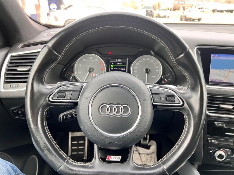 Audi SQ5 Vehicle Image 09