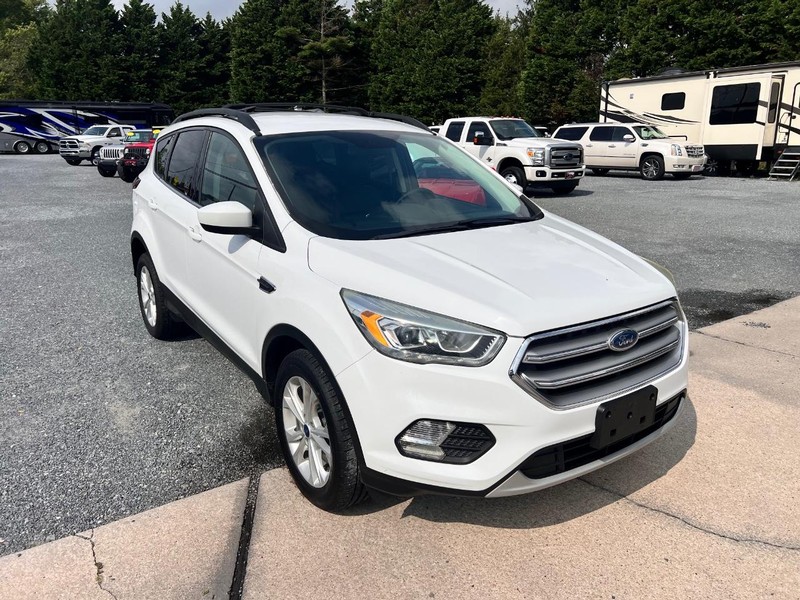 Ford Escape Vehicle Image 03