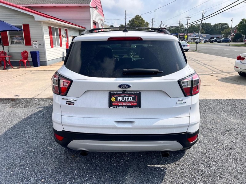 Ford Escape Vehicle Image 06