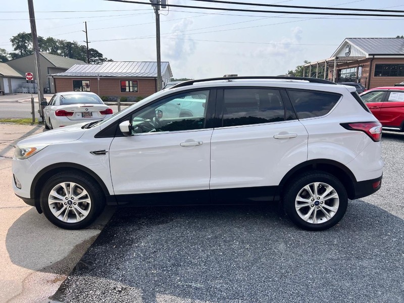 Ford Escape Vehicle Image 08