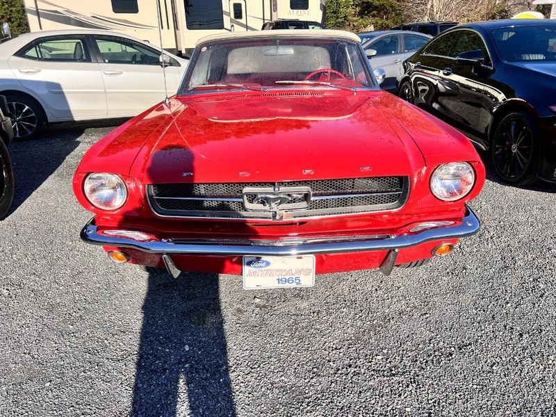 Ford Mustang Vehicle Image 02