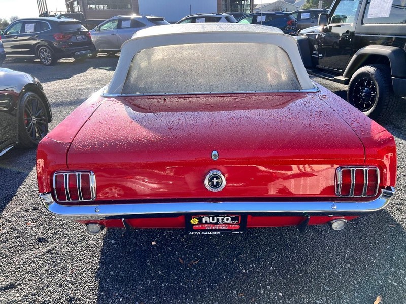 Ford Mustang Vehicle Image 06