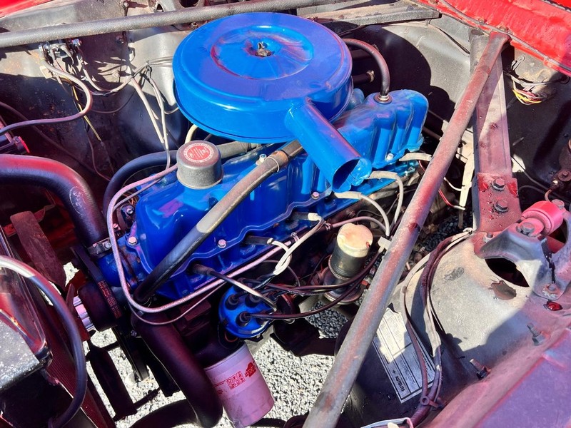 Ford Mustang Vehicle Image 13