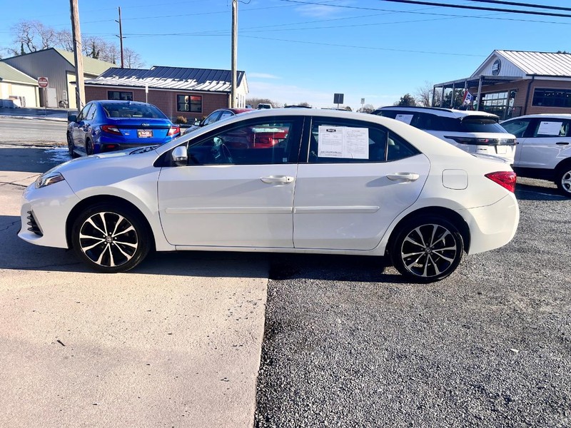 Toyota Corolla Vehicle Image 08