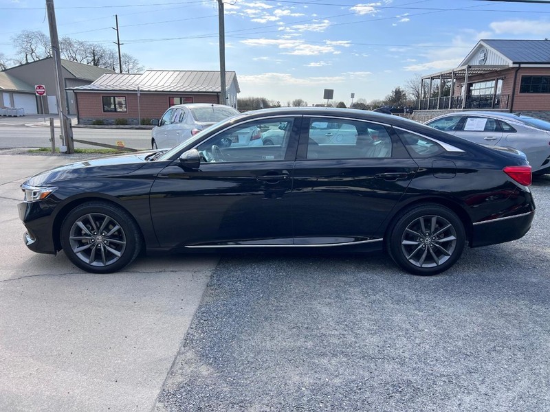 Honda Accord Vehicle Image 08